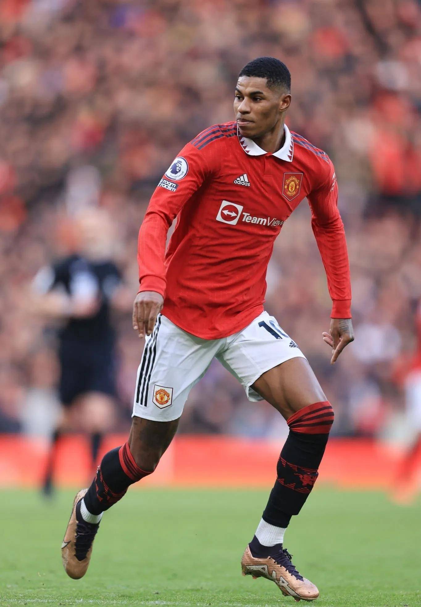 他迅速适应 他迅速适应